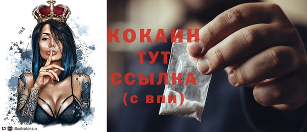сатива Бронницы