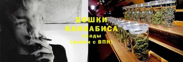 apvp Бородино
