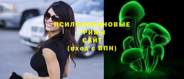 apvp Бородино