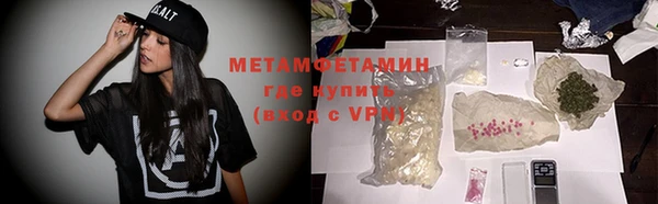 прущие грибы Мегион