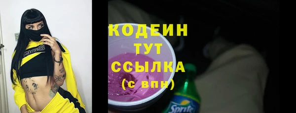 apvp Бородино