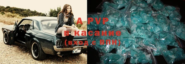 сатива Бронницы