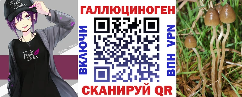 Псилоцибиновые грибы мицелий  Дивногорск 